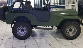 JIPE WILLYS 1958  4X4  AP 2.0  R$ 46.500,00 full