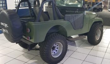 JIPE WILLYS 1958  4X4  AP 2.0  R$ 46.500,00 full