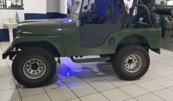 JIPE WILLYS 1958  4X4  AP 2.0  R$ 46.500,00 full
